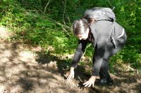 Waldjugendspiele 2025- 26